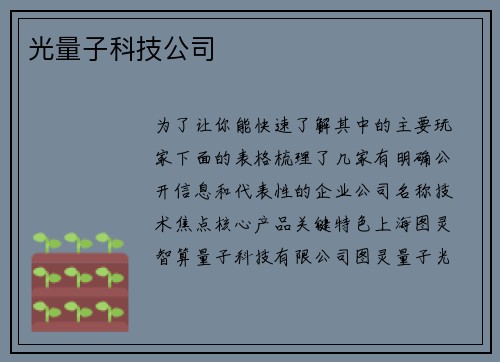 光量子科技公司